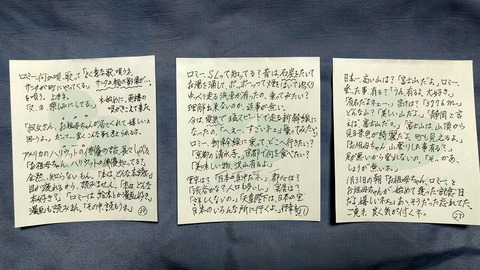 romi113