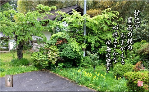 amagaeru