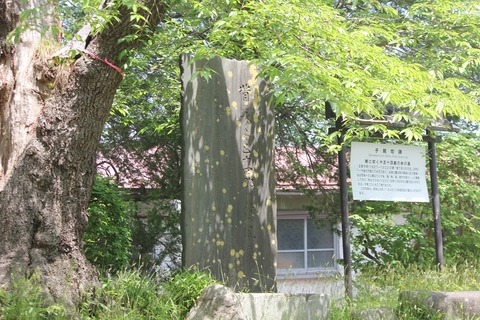 shiki1