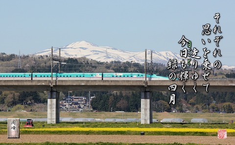 midorinoshigatu