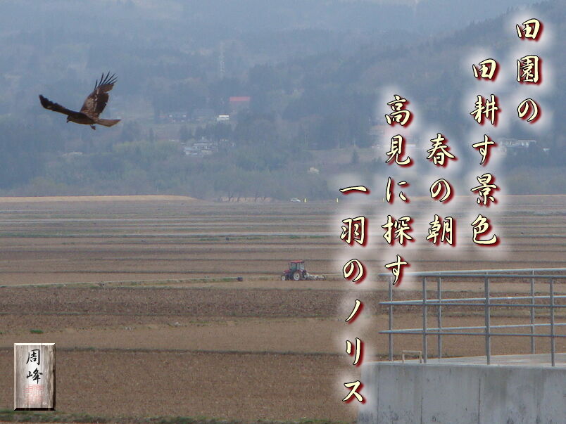 イメージ 1