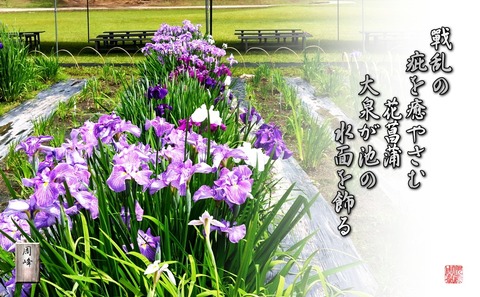 senrannokizuwoiyasu