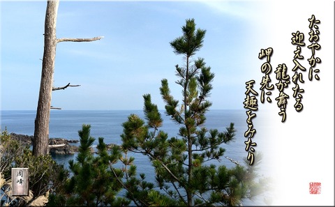 tanka