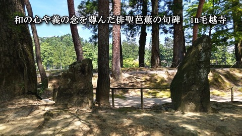 basyokahi