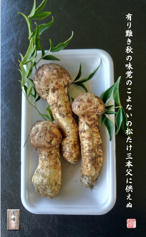 arigatakimatutake