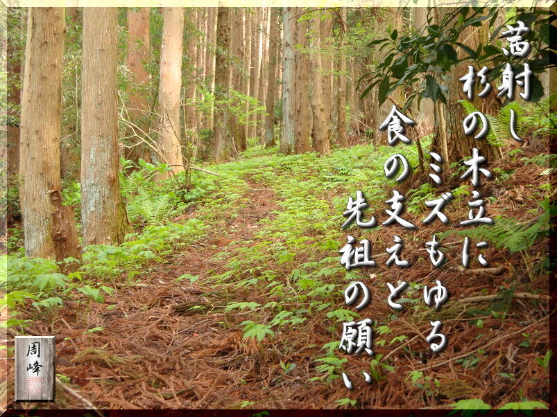 イメージ 1