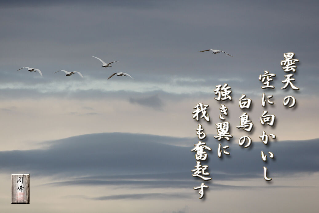 イメージ 1
