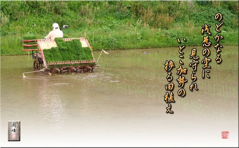 taue