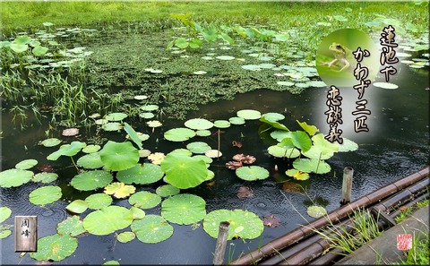 kawazuhaiku
