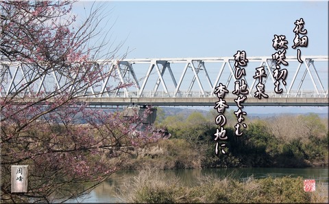 sakurasakura