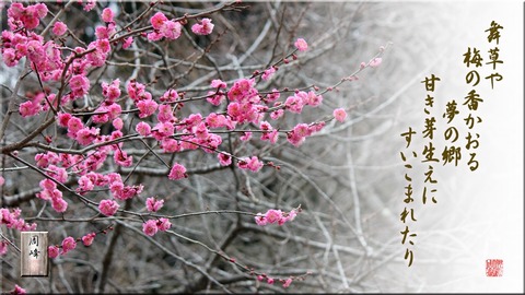 umetanka