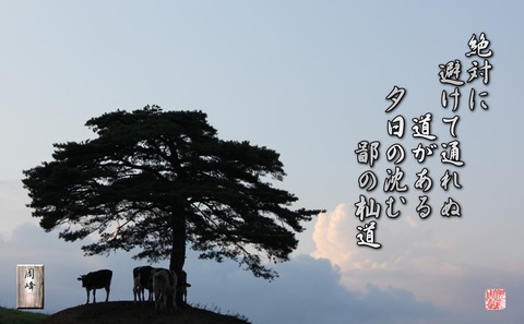 hinanosomamichi