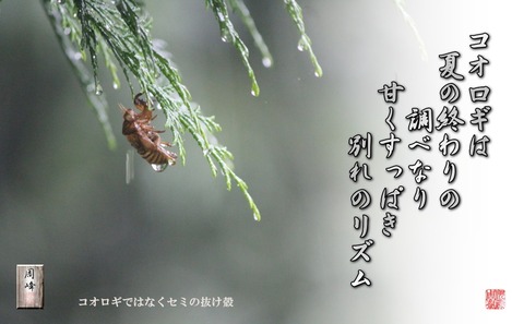 korogi