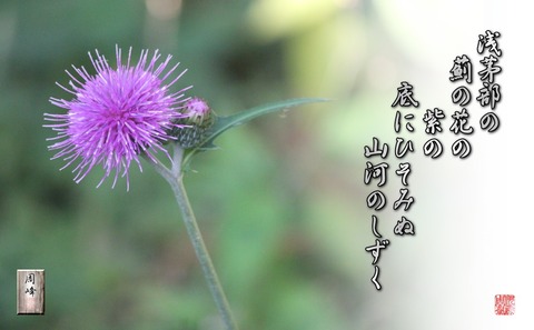 azaminohana