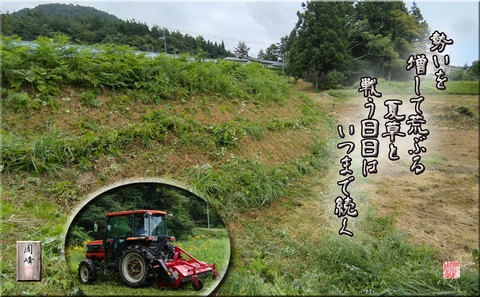 tatakainohibi