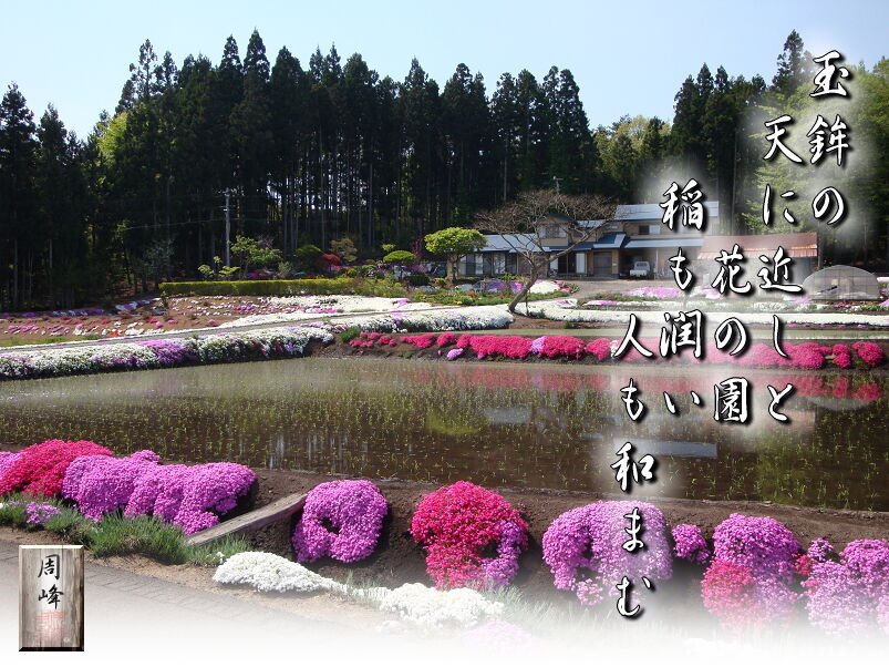 イメージ 1
