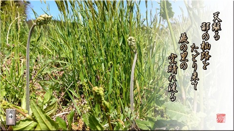 warabinosato