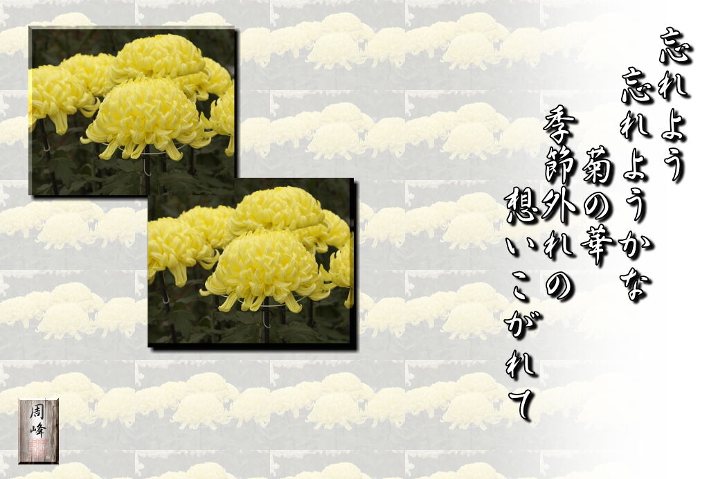 イメージ 2
