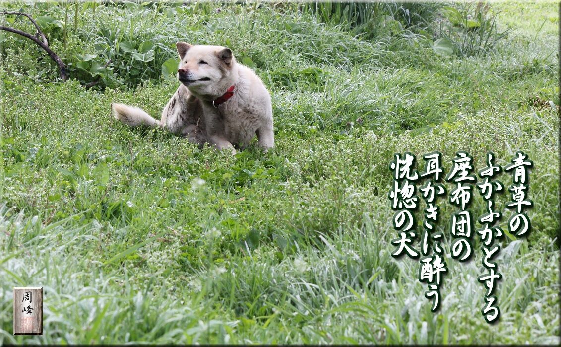 イメージ 1