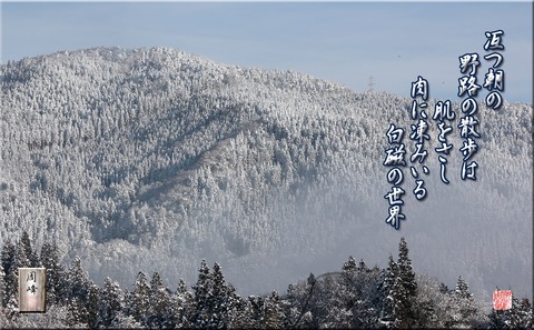 hakujinosekai