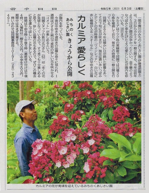 iwanichikarumia