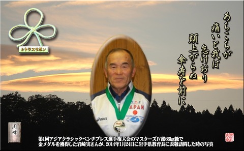 iwasakisan