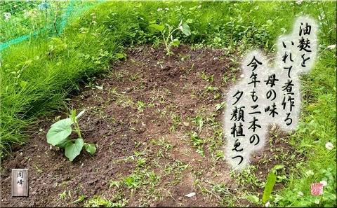 yugao