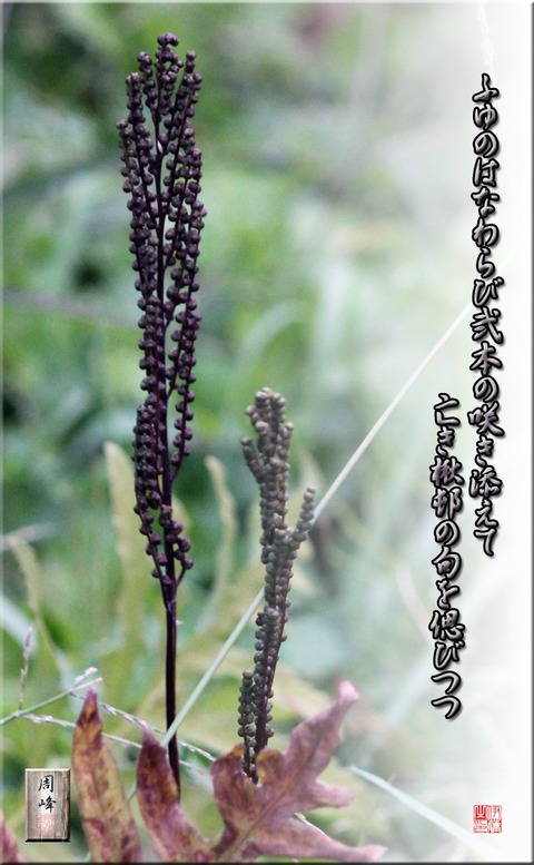 huyuhana