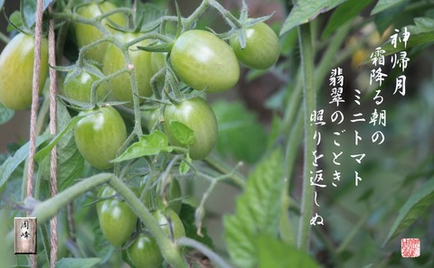 kamikizuki