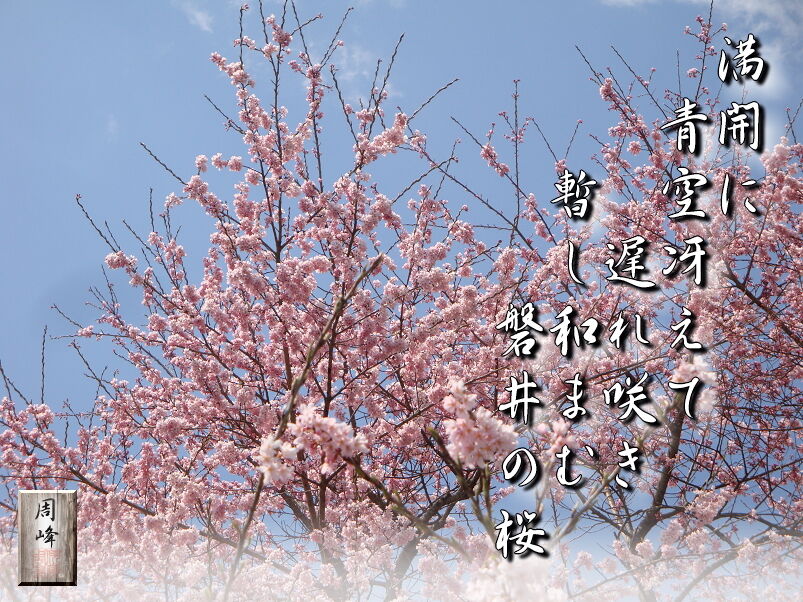 イメージ 1
