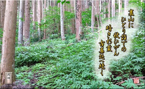 koboshyo