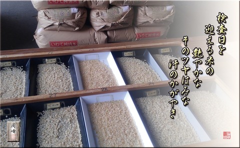 kensamai111