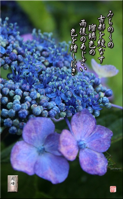 ugonoajisai