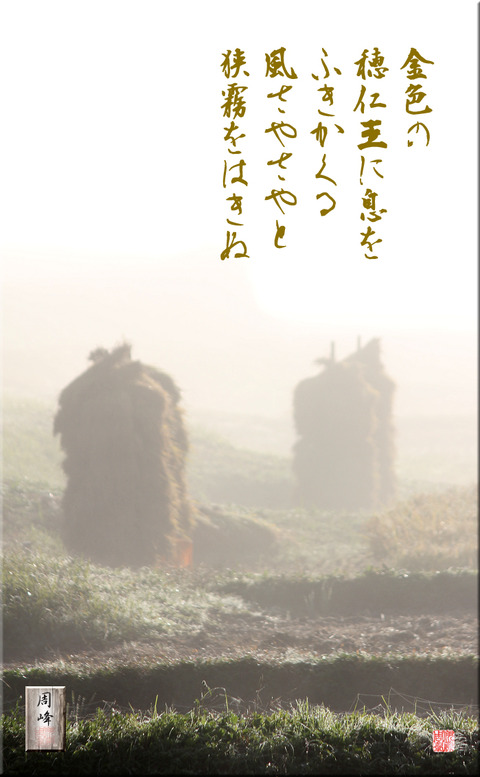 honiwo