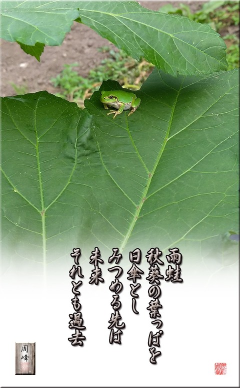 amagaeru