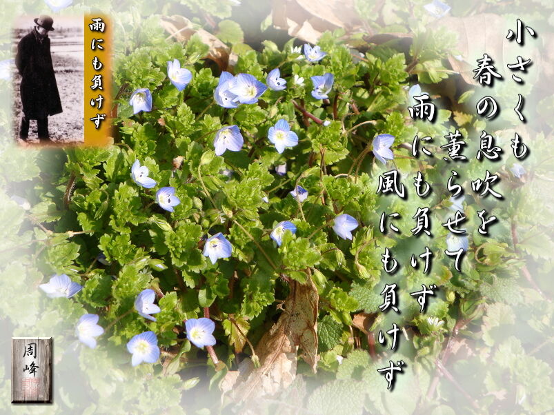 イメージ 1