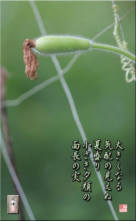 chisaki