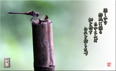 akaenba