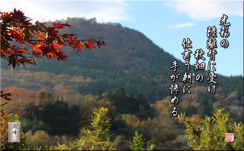 tegakajikamu