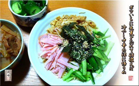 potuichihiyashi