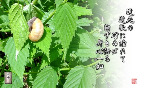 dogennodoka