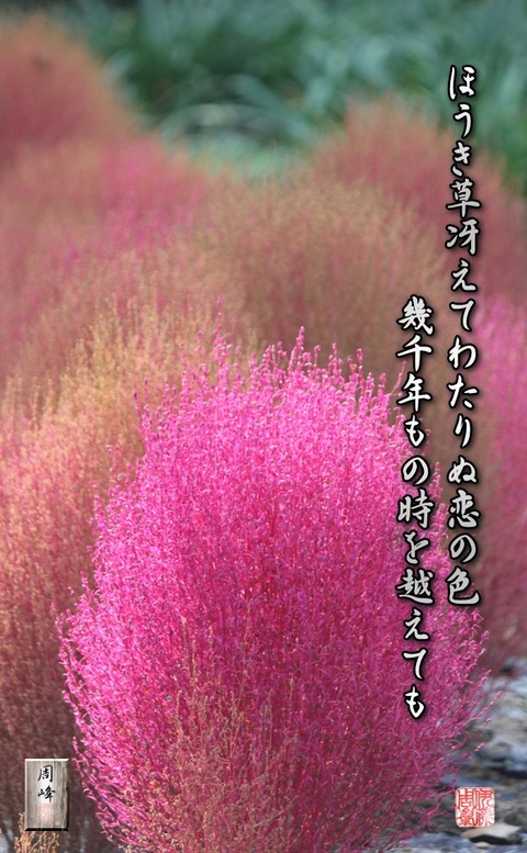 koinoiro