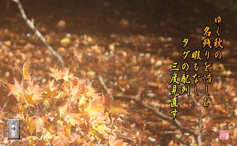 yukuakino
