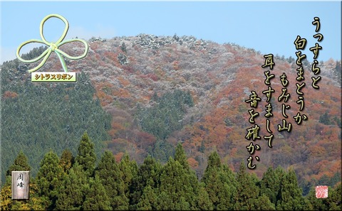 momijiyama