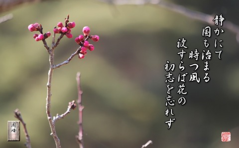 被すらば花