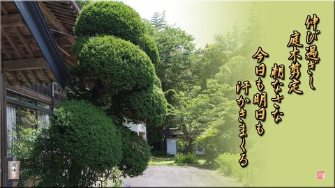 niwaki