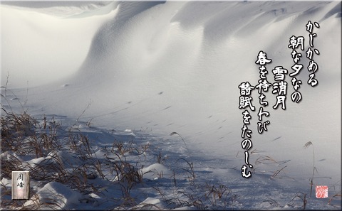 kajikameruasa