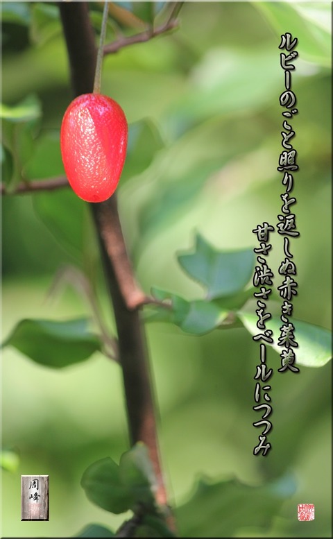 guminogoto