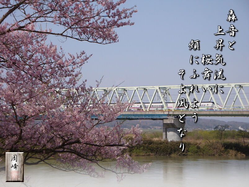 イメージ 1