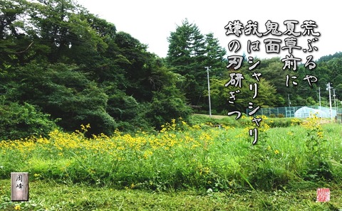 natukusaya